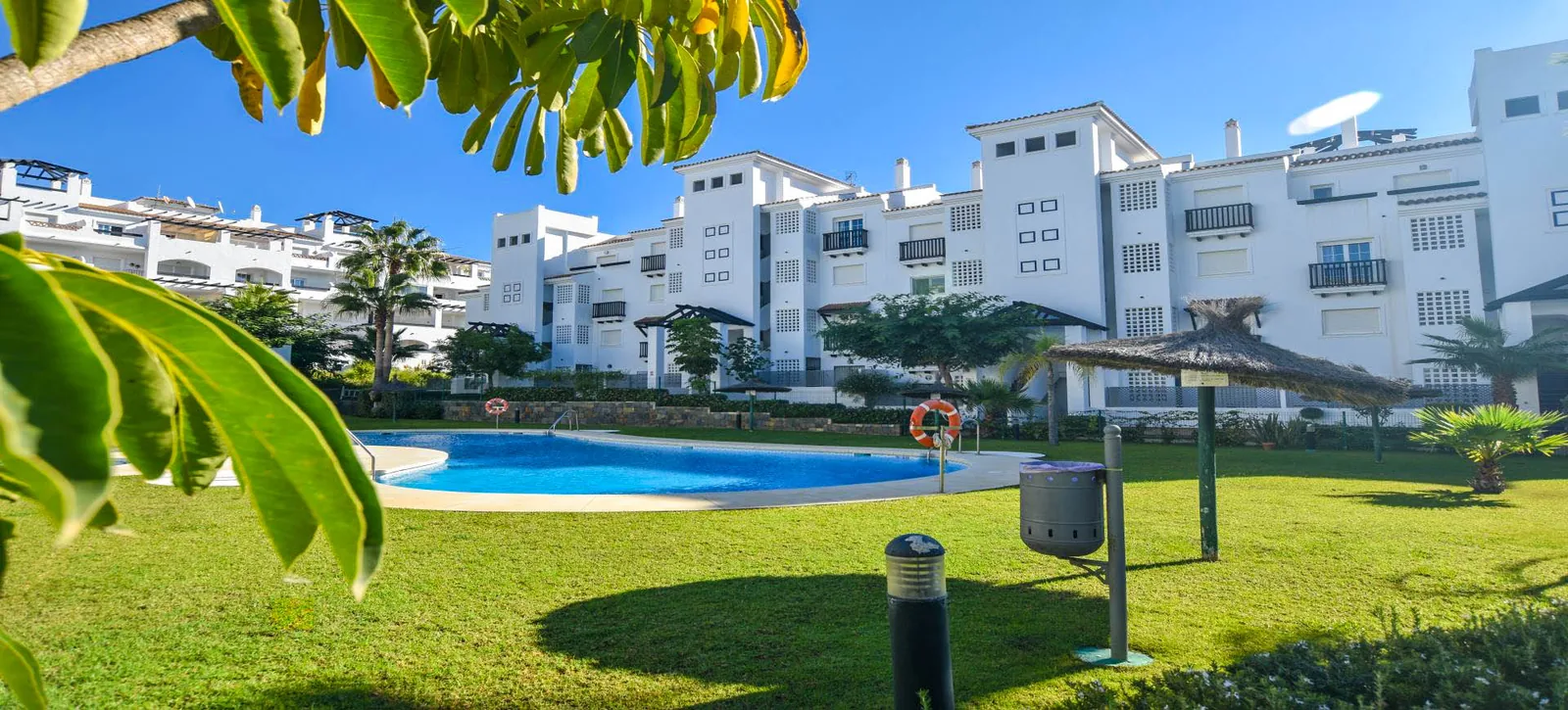 Communal swimming pool and gardens